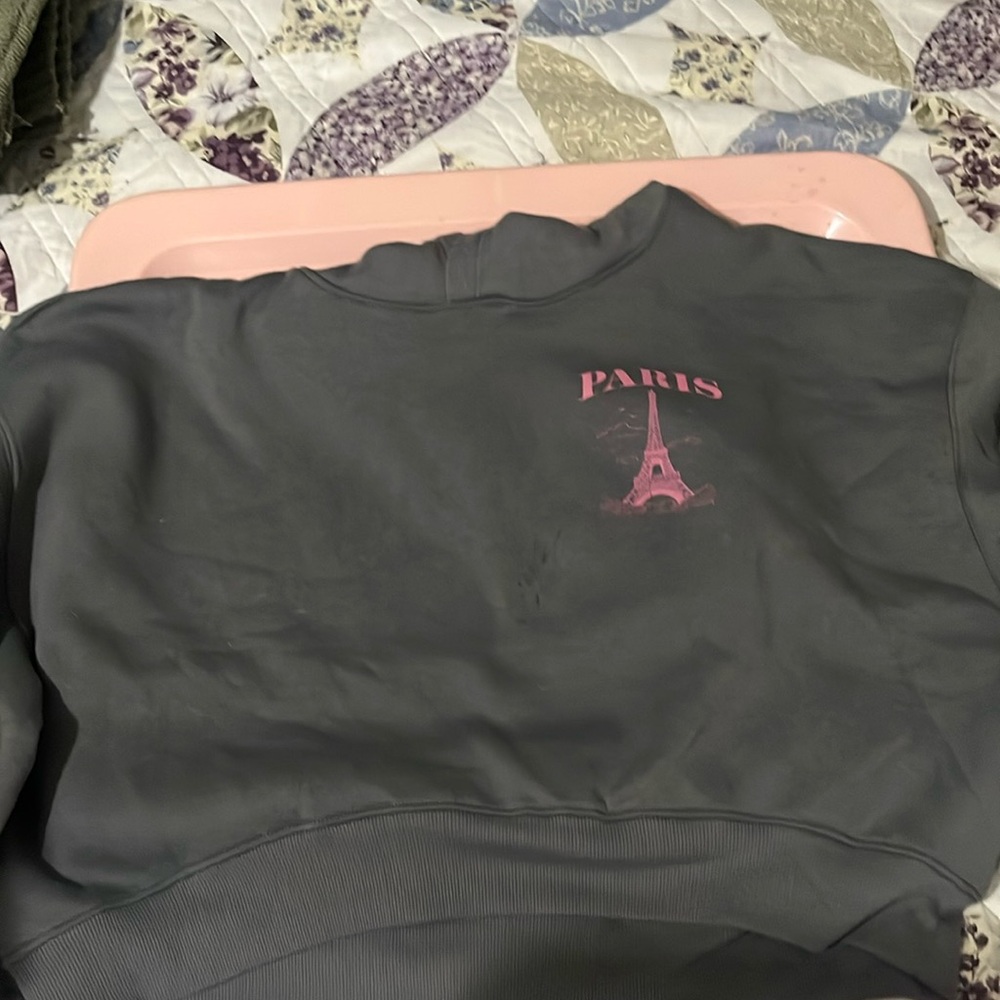 COPY - A cropped gray Paris hoodie. (Not been used)